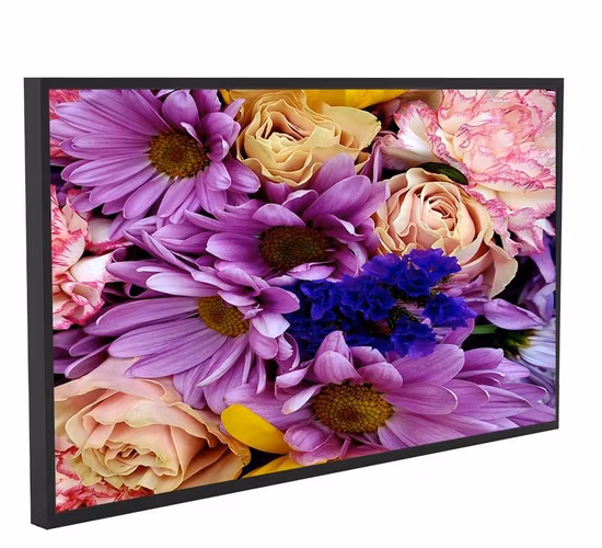 Wall Mount LED Backlight Digital Signage for Advertising Display Indoor